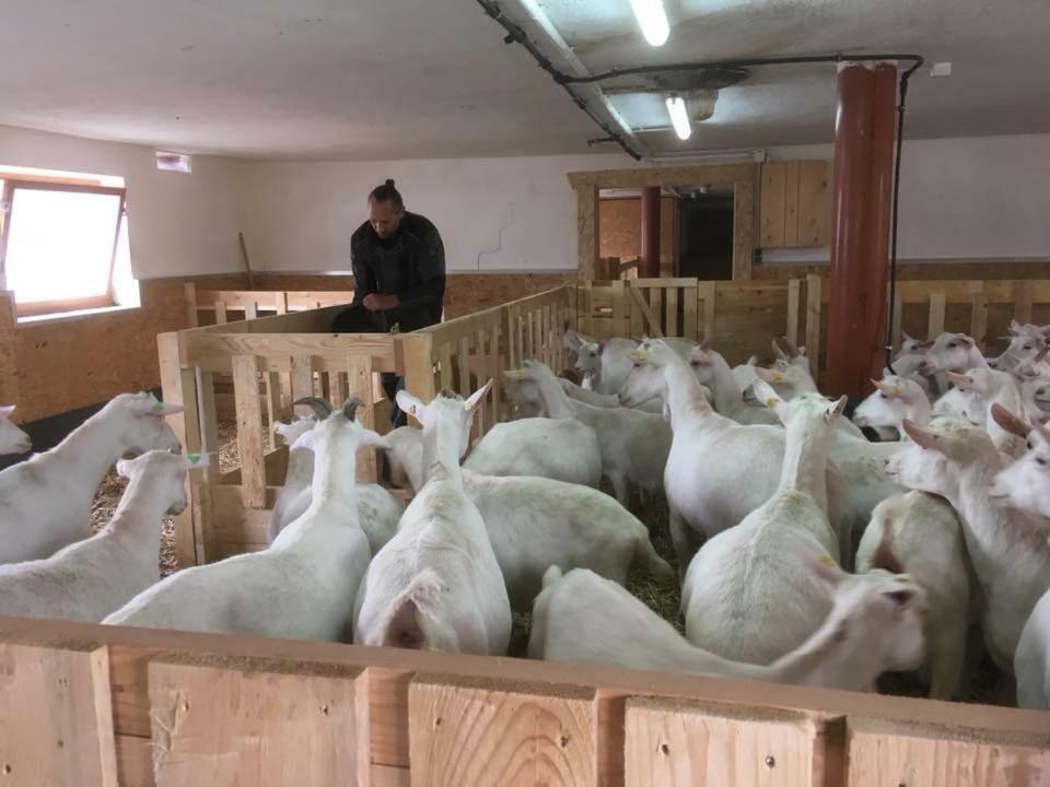 Uhlerhof Daire Stumm Dış mekan fotoğraf